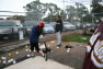 20120212085.jpg